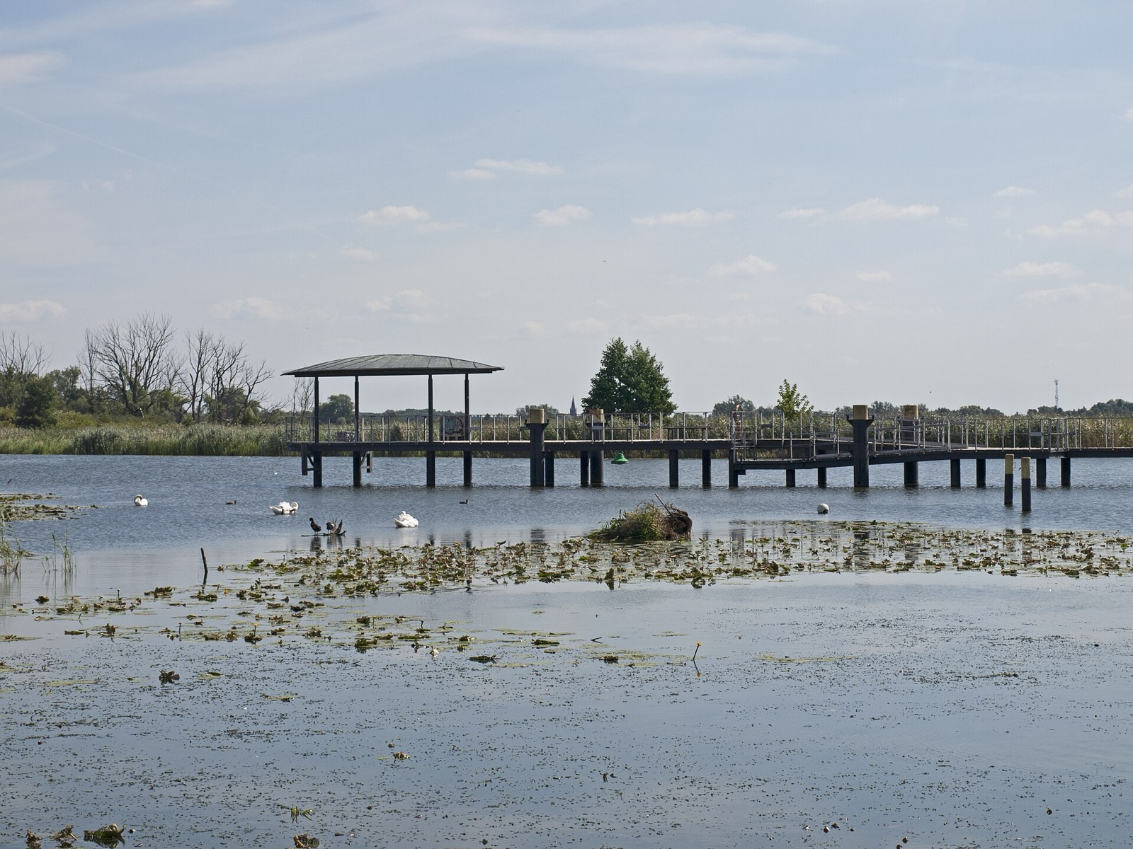 Blick über die Havel am Mühlendamm in Brandenburg an der Havel