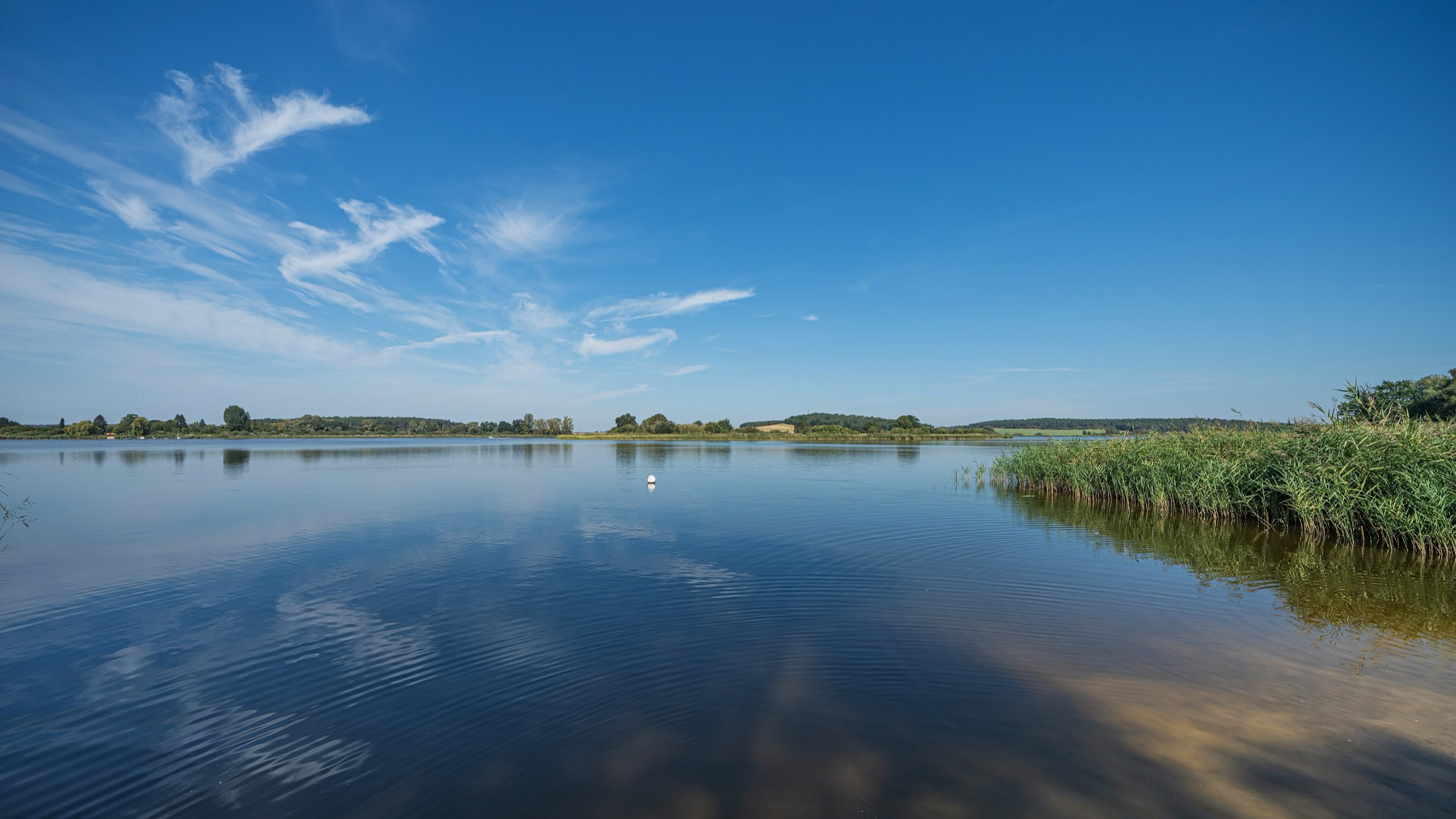 Ruhige Wasserlage am Beetzsee bei Brandenburg an der Havel mit Schilfufer
